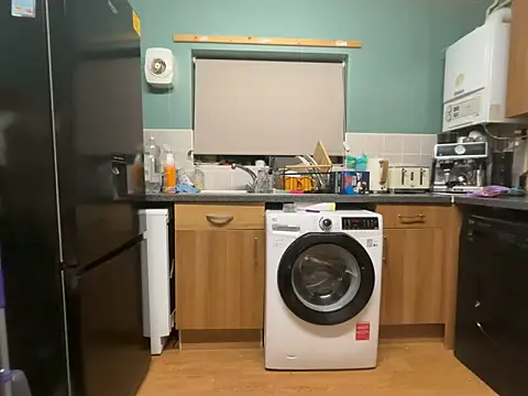 Snapshot of Dilfcam101 chatting on 02-16-26, 10:50 Dilfcam101 online show from 02-16-26, 10:50