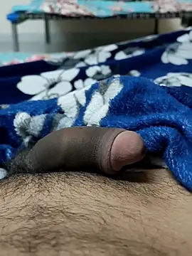 Snapshot of Bull54321 chatting on 12-15-25, 04:33 Bull54321 online show from 12-15-25, 04:33