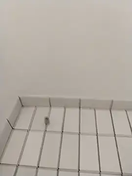 Snapshot of Ajayy01 chatting on 10-31-25, 07:42 Ajayy01 online show from 10-31-25, 07:42