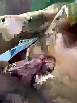 Huynh-duc-huy online show from 02-05-26, 07:24