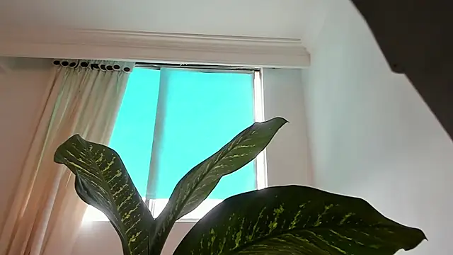 canelleGarces online show from 02-10-26, 06:01