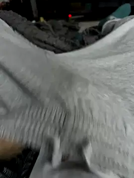 Frankieyyy1 online show from 11-28-25, 07:44