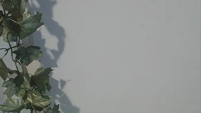 angelainparis28 online show from 10-05-25, 08:12