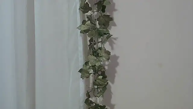 angelainparis28 online show from 11-30-25, 05:00