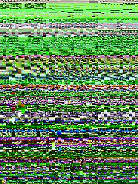 lynn9000 online show from 11-20-25, 05:18