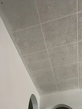 Snapshot of LICEET chatting on 09-25-25, 03:27 LICEET online show from 09-25-25, 03:27