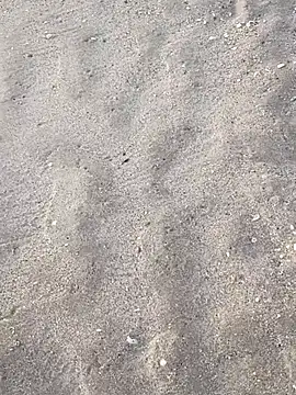 sarahkat86 online show from 11-05-25, 12:16