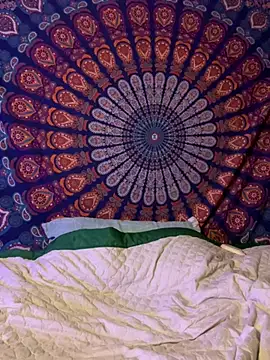 wildflower sex online show from 01-12-26, 02:17