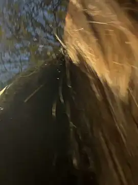 -juicy  online show from 02-17-26, 11:22