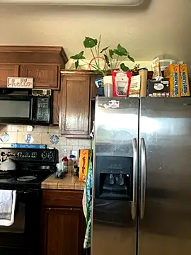 Snapshot of 1n0nlythroat chatting on 09-13-25, 07:46 1n0nlythroat online show from 09-13-25, 07:46