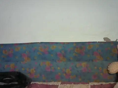 Baby doll9090 online show from 01-14-26, 05:07