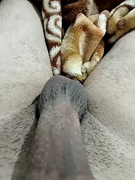 Zepe 12 online show from 02-12-26, 11:55