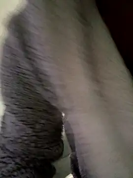 cameron334 online show from 11-01-25, 01:29