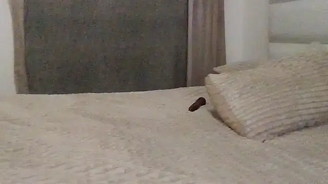 Snapshot of SexyNonnyy chatting on 10-10-25, 06:40 SexyNonnyy online show from 10-10-25, 06:40