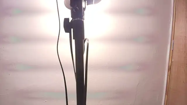 Terraelowen online show from 02-25-26, 11:31