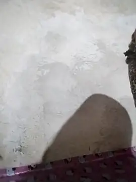 Snapshot of big_booty15 chatting on 10-05-25, 02:32 big booty15 online show from 10-05-25, 02:32