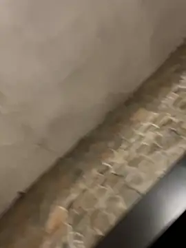 Snapshot of BrandonBlack chatting on 02-07-26, 12:25 BrandonBlack online show from 02-07-26, 12:25