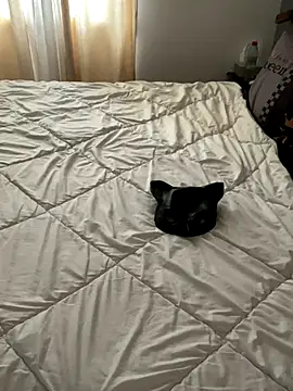 LesAmantsAE2 online show from 10-11-25, 08:13