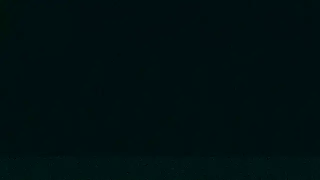 Snapshot of LeeCox chatting on 12-21-24, 09:33 LeeCox online show from 12-21-24, 09:33