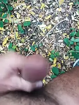 pegaso369 online show from 10-22-25, 01:44