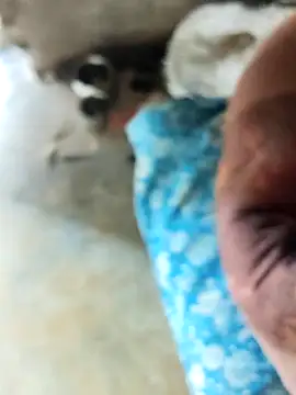 INTERNATIONAL0001 online show from 12-03-25, 03:03