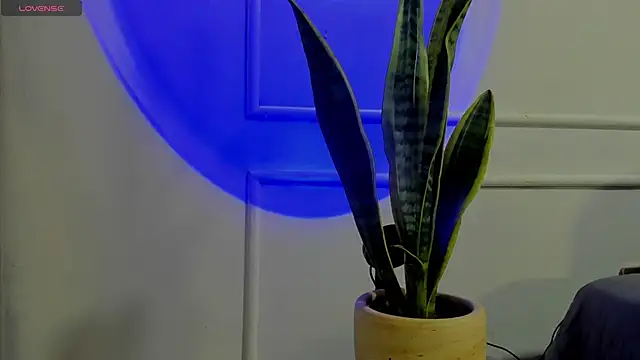 Snapshot of Ice_Princess_ chatting on 10-02-25, 04:41 Ice Princess online show from 10-02-25, 04:41