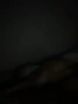 Smallboybigworld online show from 02-11-26, 09:42