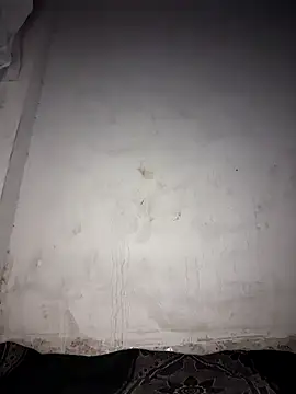 msandmr online show from 12-20-25, 07:43