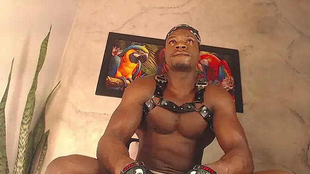 Snapshot of MrByronStallion chatting on 09-10-25, 04:40 MrByronStallion online show from 09-10-25, 04:40