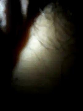 luislimafuego online show from 10-04-25, 10:24