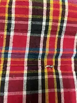 Snapshot of hamstar09 chatting on 10-17-25, 05:48 hamstar09 online show from 10-17-25, 05:48