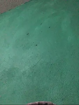 Snapshot of carlo20n chatting on 10-15-25, 11:49 carlo20n online show from 10-15-25, 11:49