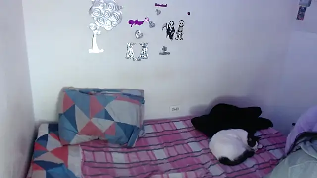 EvaHarryy online show from 04-01-26, 10:29