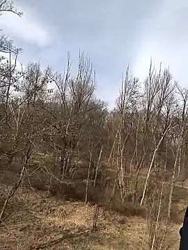 kot766 online show from 03-25-26, 12:22