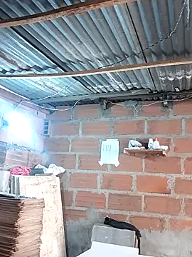 hoteder online show from 12-17-25, 01:28