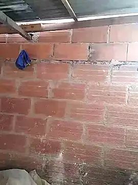 hoteder online show from 03-07-26, 11:51