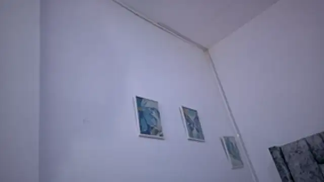 Lizbeth Rouse online show from 11-16-25, 12:55