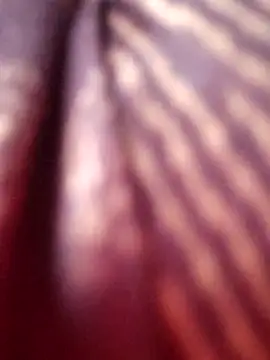 Tamilreethu online show from 10-05-25, 08:45