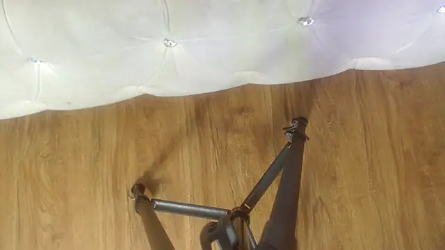 RylieRoss online show from 11-27-25, 01:35