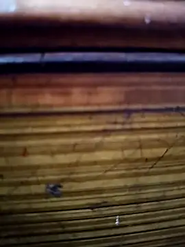 Shruti Bhabhi38 online show from 11-01-25, 05:59