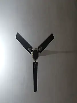 NoxiousFilename online show from 11-10-25, 05:50