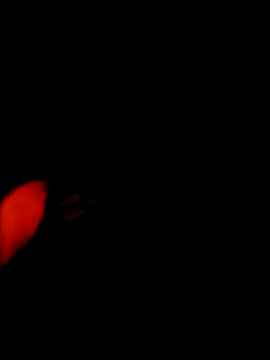 NoxiousFilename online show from 12-22-25, 05:15