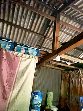 PhanHaa online show from 10-20-25, 08:59