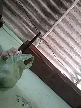 akshant1234 online show from 11-17-25, 04:51