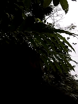 Snapshot of linda_bae00 chatting on 11-05-25, 01:16 linda bae00 online show from 11-05-25, 01:16