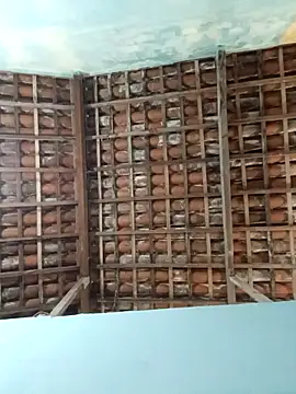 NegroAracaju online show from 04-19-26, 12:11