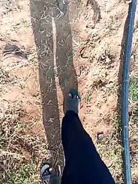 dolphiinn online show from 02-25-26, 03:16