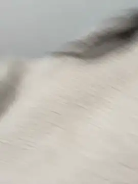 Victoria alson online show from 02-19-26, 01:29