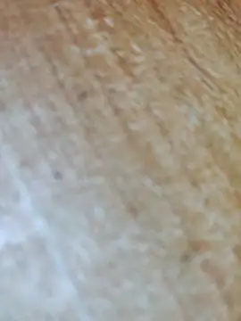 Markroco696 online show from 11-17-25, 05:02