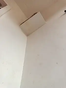 Dikchahot online show from 11-11-25, 10:26